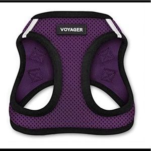 Dog harness, leash and collar